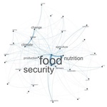 A word map, showing major words connected with the Sentinel Project