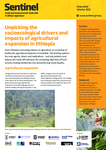 Unpicking the socioecological drivers and impacts of agricultural expansion in Ethiopia